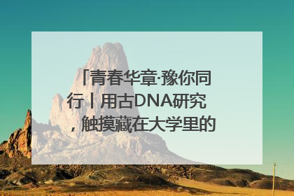 青春华章·豫你同行丨用古DNA研究，触摸藏在大学里的“上下五千年”