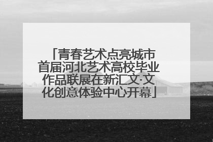 青春艺术点亮城市 首届河北艺术高校毕业作品联展在新汇文·文化创意体验中心开幕