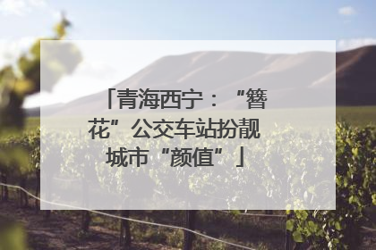 青海西宁：“簪花”公交车站扮靓城市“颜值”