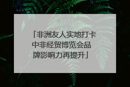 非洲友人实地打卡 中非经贸博览会品牌影响力再提升