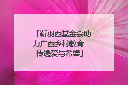 靳羽西基金会助力广西乡村教育 传递爱与希望