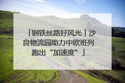 钢铁丝路好风光丨沙良物流园助力中欧班列跑出“加速度”