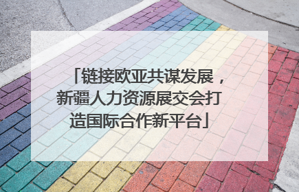 链接欧亚共谋发展，新疆人力资源展交会打造国际合作新平台