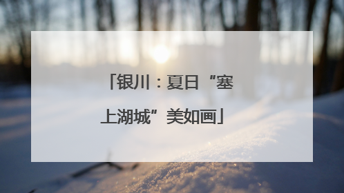银川：夏日“塞上湖城”美如画