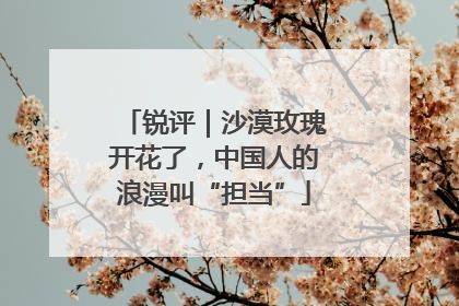 锐评｜沙漠玫瑰开花了，中国人的浪漫叫“担当”