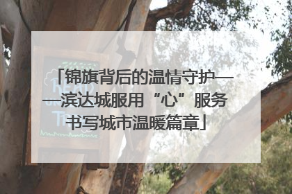 锦旗背后的温情守护——滨达城服用“心”服务书写城市温暖篇章