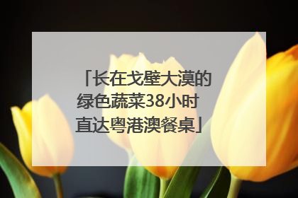 长在戈壁大漠的绿色蔬菜38小时直达粤港澳餐桌