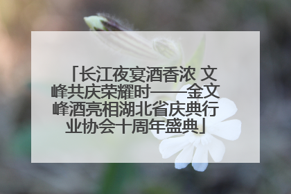长江夜宴酒香浓 文峰共庆荣耀时——金文峰酒亮相湖北省庆典行业协会十周年盛典