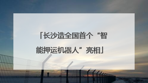 长沙造全国首个“智能押运机器人”亮相