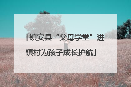 镇安县“父母学堂”进镇村为孩子成长护航