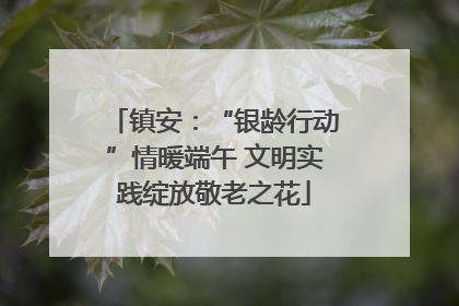 镇安：“银龄行动”情暖端午 文明实践绽放敬老之花