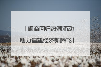 闽商回归热潮涌动 助力福建经济新腾飞