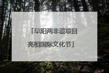 阜阳两非遗项目亮相国际文化节