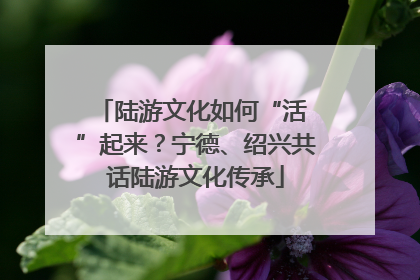 陆游文化如何“活 ”起来？宁德、绍兴共话陆游文化传承
