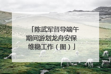 陈武军督导端午期间游划龙舟安保维稳工作（图）