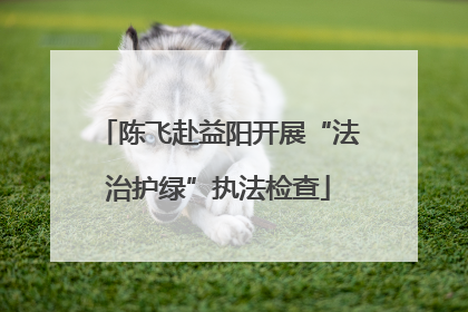 陈飞赴益阳开展“法治护绿”执法检查