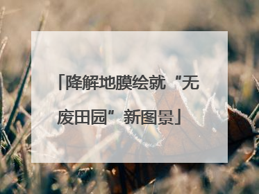 降解地膜绘就“无废田园”新图景