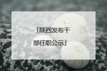 陕西发布干部任职公示
