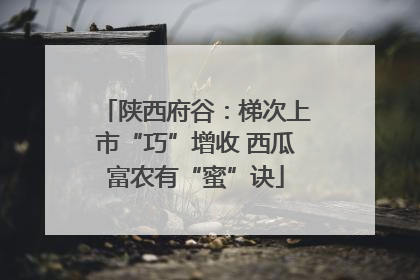 陕西府谷：梯次上市“巧”增收 西瓜富农有“蜜”诀
