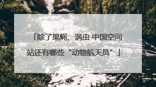除了果蝇、涡虫 中国空间站还有哪些“动物航天员”
