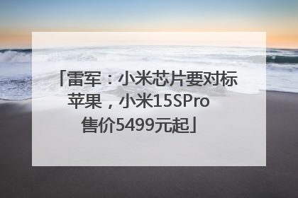 雷军：小米芯片要对标苹果，小米15SPro售价5499元起