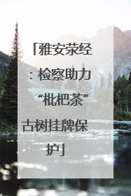 雅安荥经：检察助力“枇杷茶”古树挂牌保护