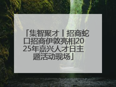 集智聚才丨招商蛇口招商伊敦亮相2025年嘉兴人才日主题活动现场