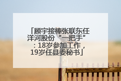 顾宇接棒张联东任洋河股份“一把手”：18岁参加工作，19岁任县委秘书