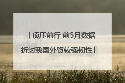 顶压前行 前5月数据折射我国外贸较强韧性
