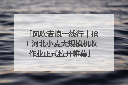风吹麦浪一线行｜抢！河北小麦大规模机收作业正式拉开帷幕