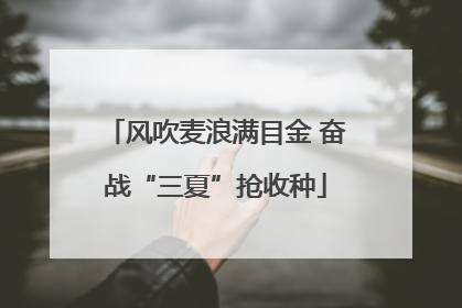 风吹麦浪满目金 奋战“三夏”抢收种