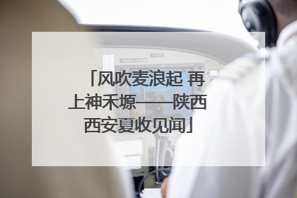 风吹麦浪起 再上神禾塬——陕西西安夏收见闻