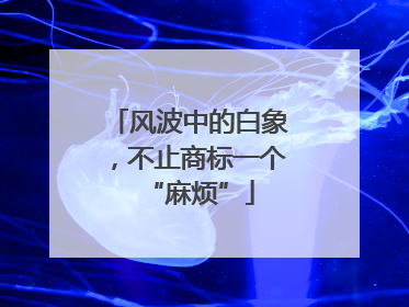 风波中的白象，不止商标一个“麻烦”