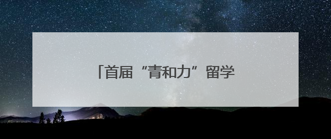 首届“青和力”留学人才嘉年华成功举办