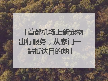 首都机场上新宠物出行服务，从家门一站抵达目的地