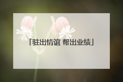 驻出情谊 帮出业绩