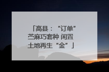 高县：“订单”苎麻巧套种 闲置土地再生“金”