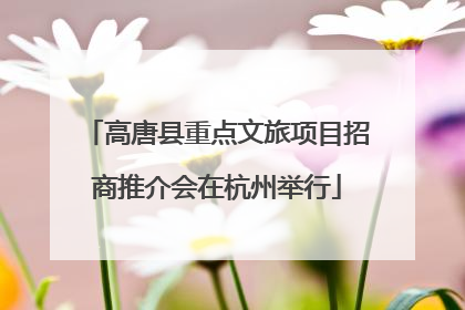 高唐县重点文旅项目招商推介会在杭州举行
