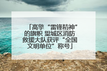 高擎“雷锋精神”的旗帜 望城区消防救援大队获评“全国文明单位”称号