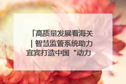 高质量发展看海关｜智慧监管系统助力宜宾打造中国“动力电池之都”