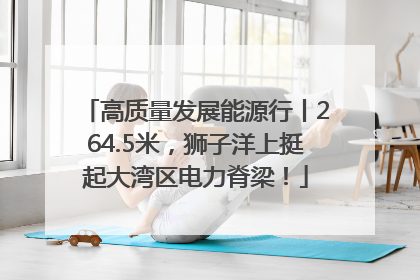 高质量发展能源行丨264.5米，狮子洋上挺起大湾区电力脊梁！
