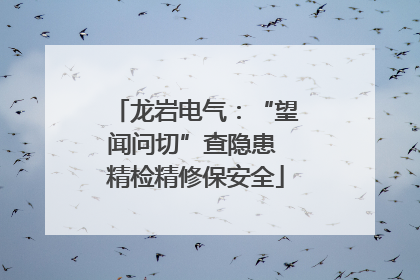 龙岩电气：“望闻问切”查隐患 精检精修保安全