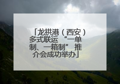 龙拱港（西安）多式联运 “一单制、一箱制” 推介会成功举办