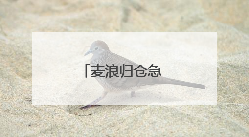 麦浪归仓急 新垄点豆忙