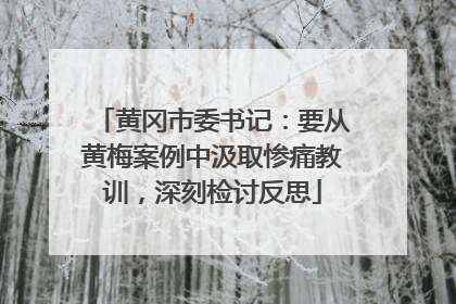 黄冈市委书记：要从黄梅案例中汲取惨痛教训，深刻检讨反思