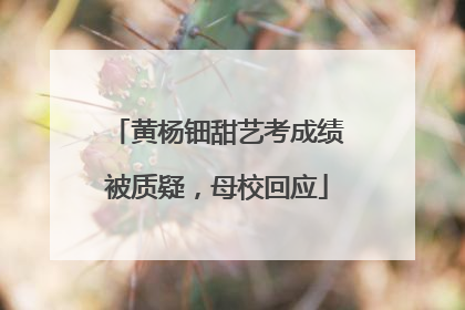 黄杨钿甜艺考成绩被质疑，母校回应