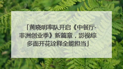 黄晓明率队开启《中餐厅·非洲创业季》新篇章，影视综多面开花诠释全能担当