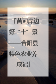黄河岸边好“丰”景——合阳县特色农业养成记