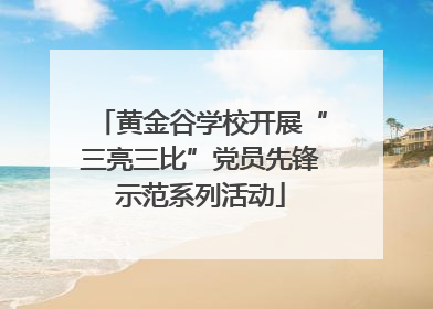黄金谷学校开展“三亮三比”党员先锋示范系列活动
