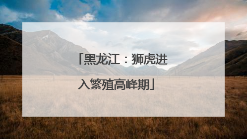 黑龙江：狮虎进入繁殖高峰期